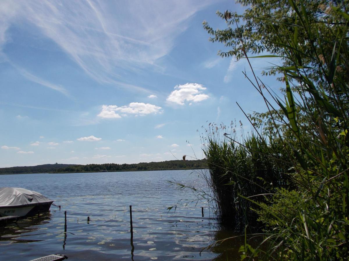 Ferienhaus Am Langen See III Heidesee Luaran gambar